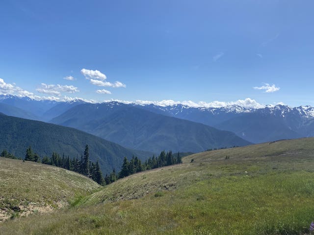 Rolling, green mountains in Olympic National Park